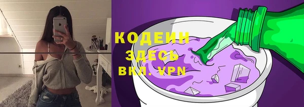 хмурый Белокуриха