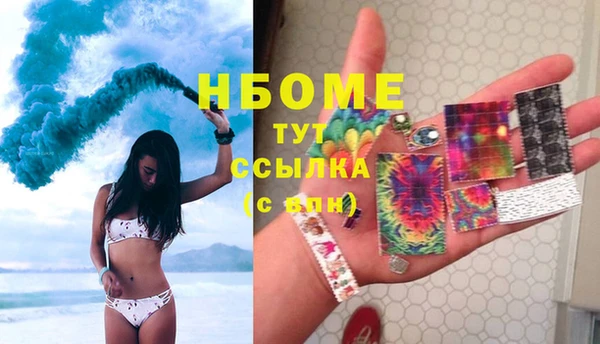 хмурый Белокуриха