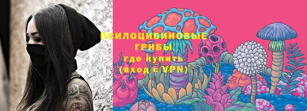 спайс Богородск
